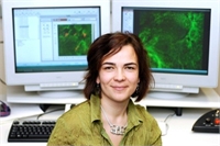 Prof. Irene Georgakoudi, Tufts University, Medford, MA